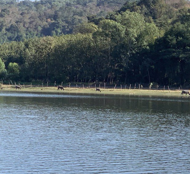 ขาย-ทาวน์โฮมส์-3-ชั้น-วิวหน้าบ้านติดทะเลสาบสุดฟิน-มุกดาหาร