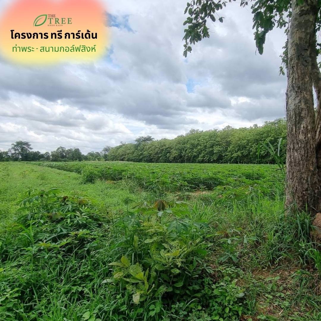 ที่ดินแบ่งขาย-สด-ผ่อนราคาถูก