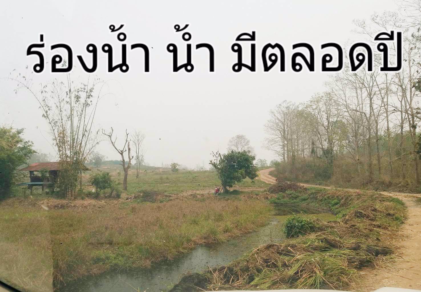 ขายที่ดิน-แปลงใหญ่-151ไร่-ทำเลดี-พื้นที่สวย-วิว-งามๆ-มีแหล่งน้ำธรรมชาติ