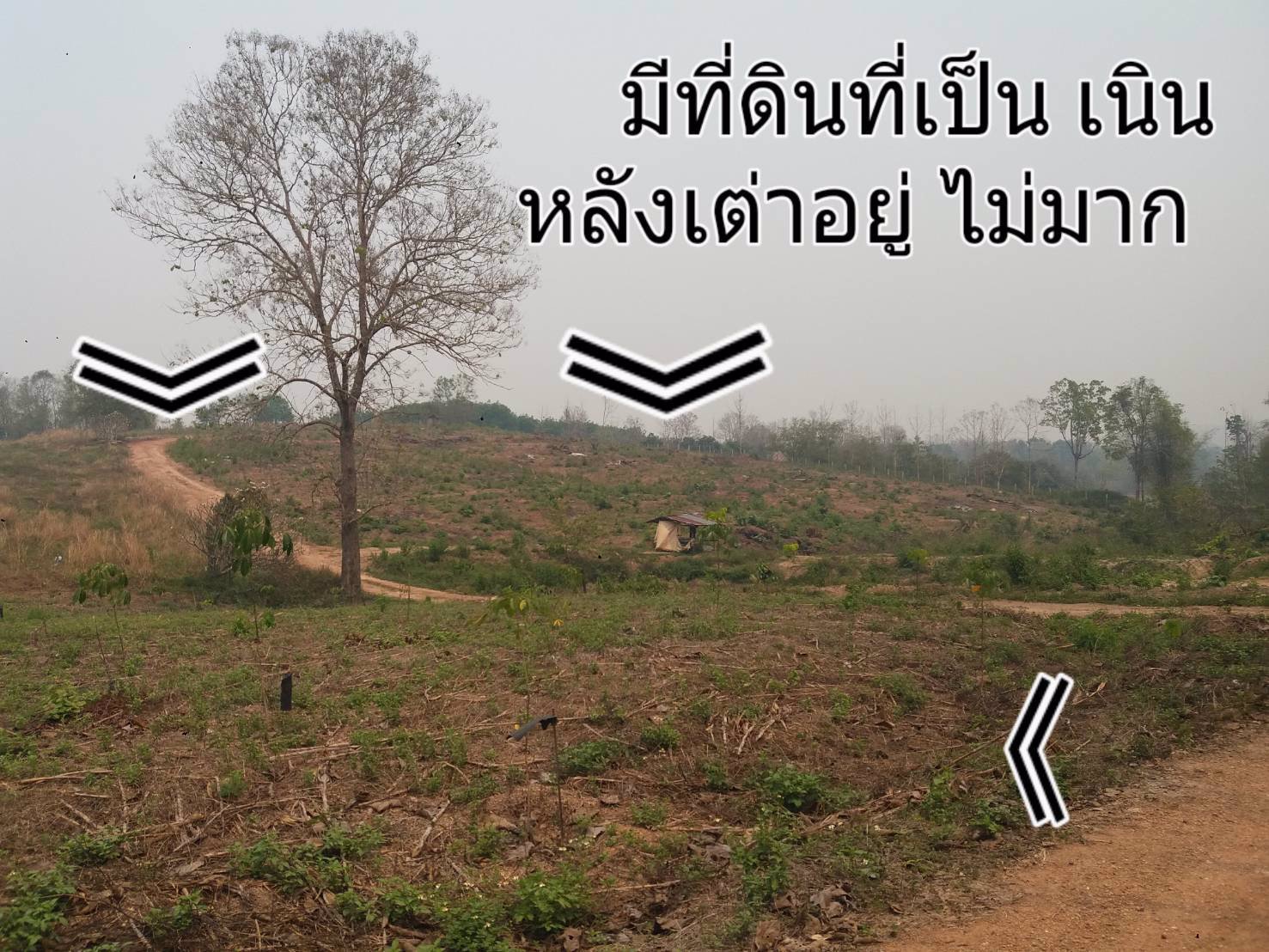 ขายที่ดิน-แปลงใหญ่-151ไร่-ทำเลดี-พื้นที่สวย-วิว-งามๆ-มีแหล่งน้ำธรรมชาติ