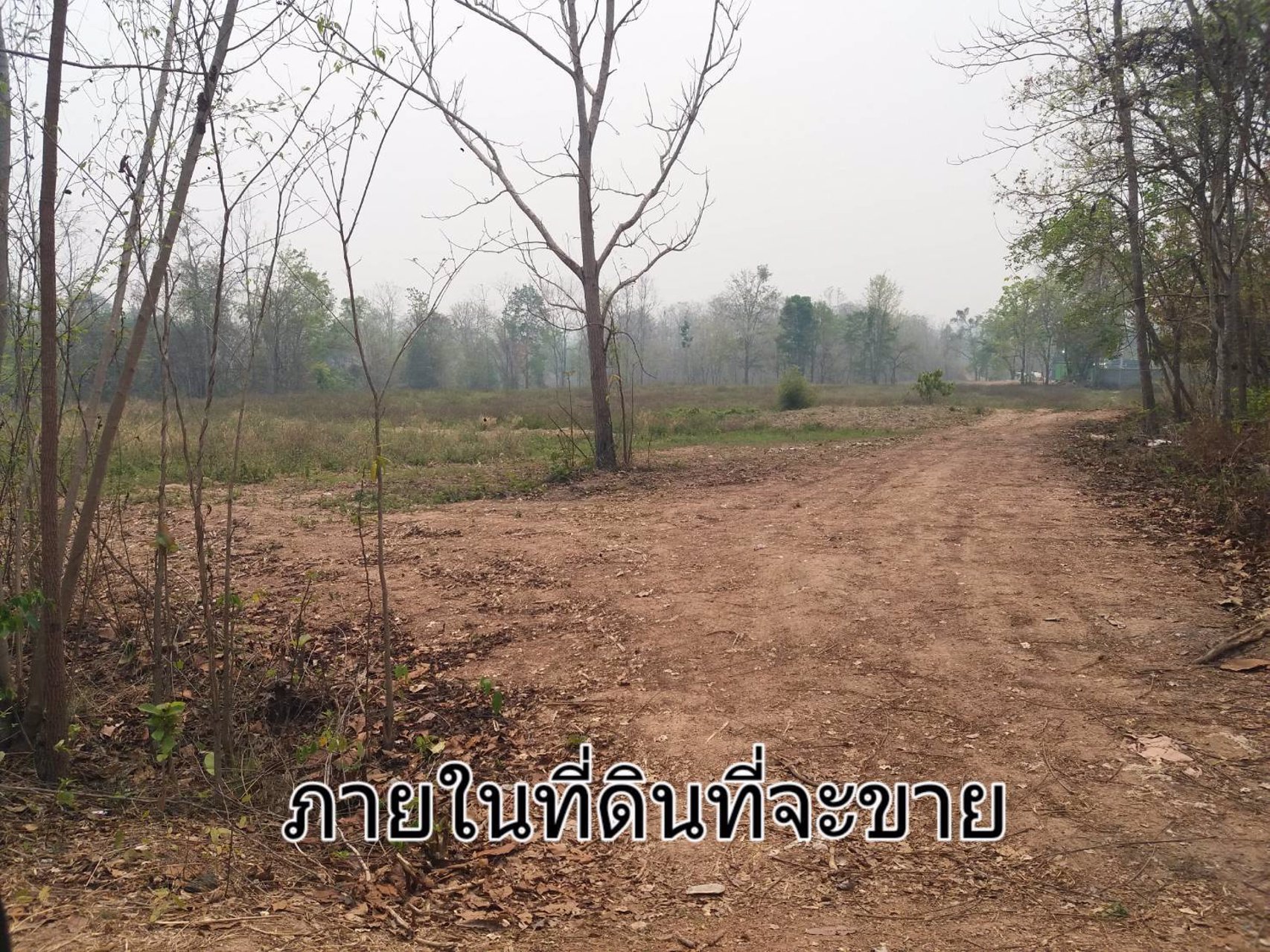 ขายที่ดิน-แปลงใหญ่-151ไร่-ทำเลดี-พื้นที่สวย-วิว-งามๆ-มีแหล่งน้ำธรรมชาติ