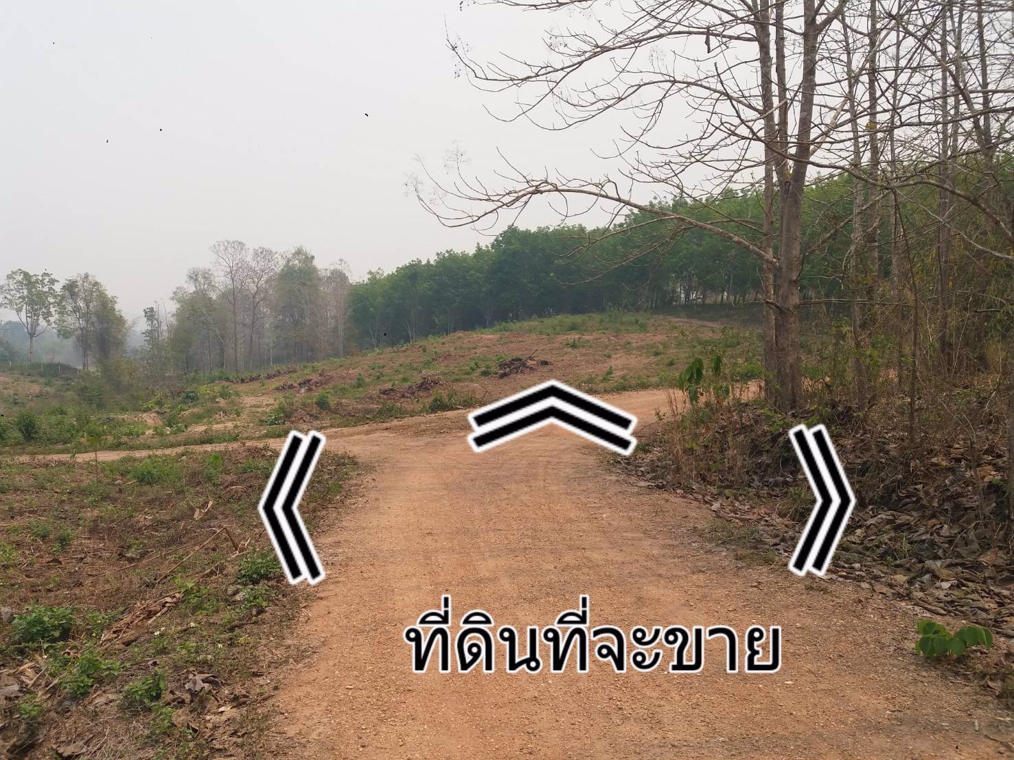 ขายที่ดิน-แปลงใหญ่-151ไร่-ทำเลดี-พื้นที่สวย-วิว-งามๆ-มีแหล่งน้ำธรรมชาติ