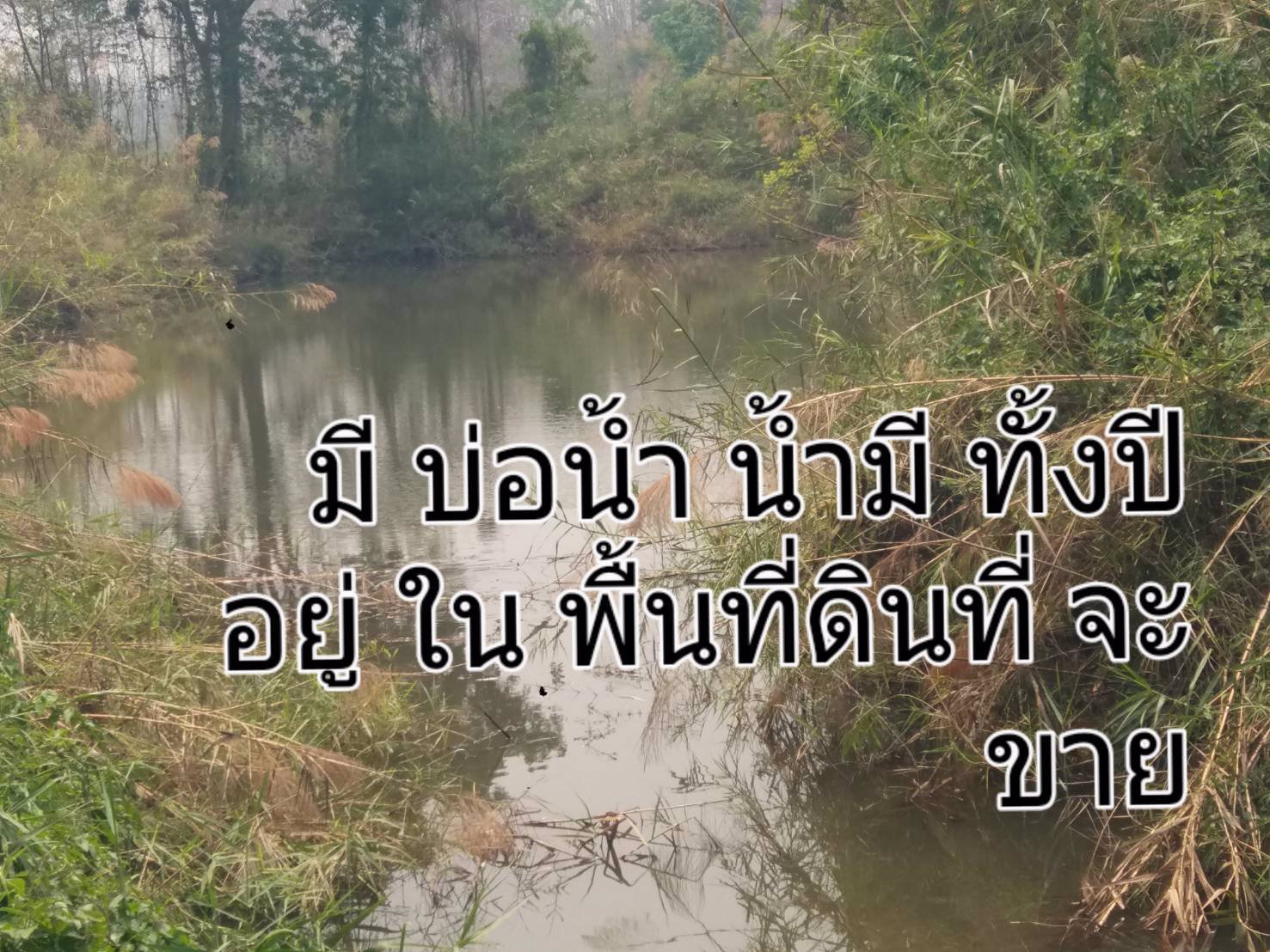 ขายที่ดิน-แปลงใหญ่-151ไร่-ทำเลดี-พื้นที่สวย-วิว-งามๆ-มีแหล่งน้ำธรรมชาติ