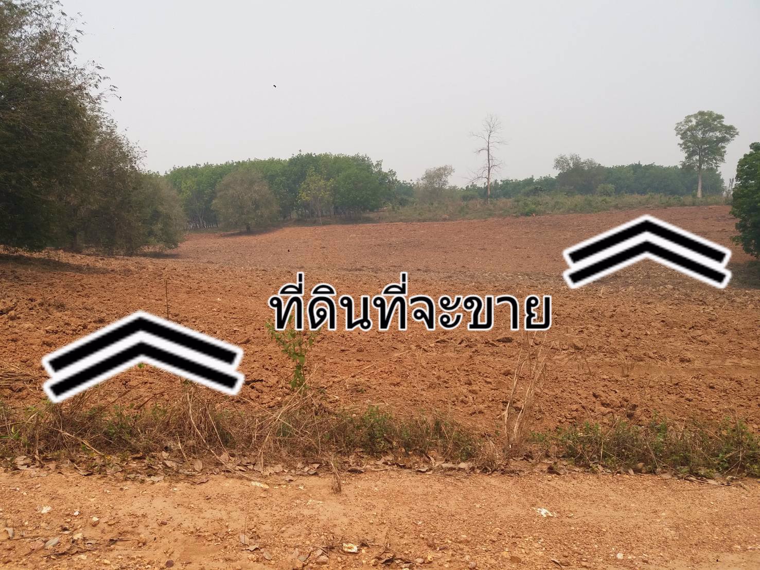 ขายที่ดิน-แปลงใหญ่-151ไร่-ทำเลดี-พื้นที่สวย-วิว-งามๆ-มีแหล่งน้ำธรรมชาติ