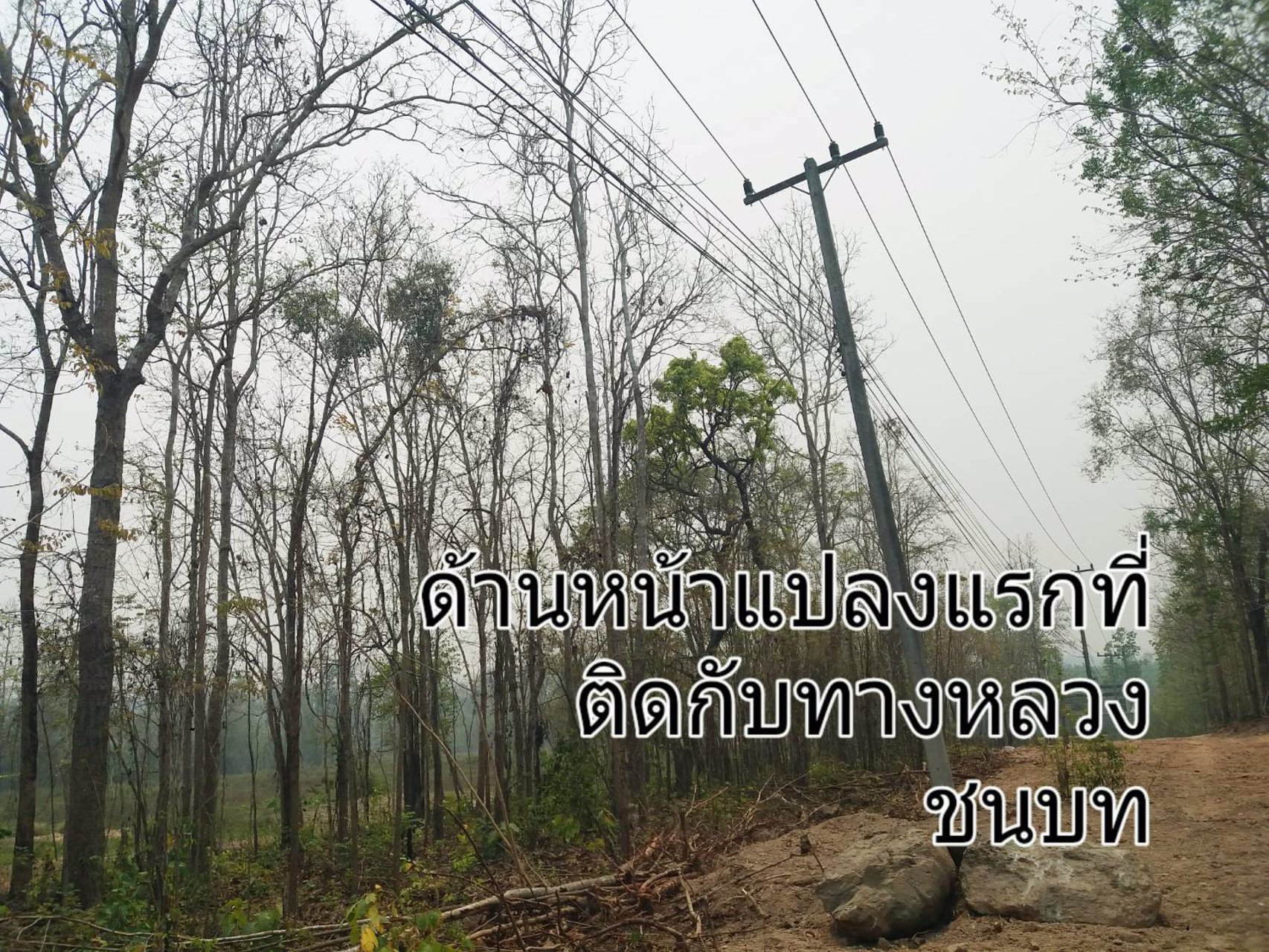 ขายที่ดิน-แปลงใหญ่-151ไร่-ทำเลดี-พื้นที่สวย-วิว-งามๆ-มีแหล่งน้ำธรรมชาติ