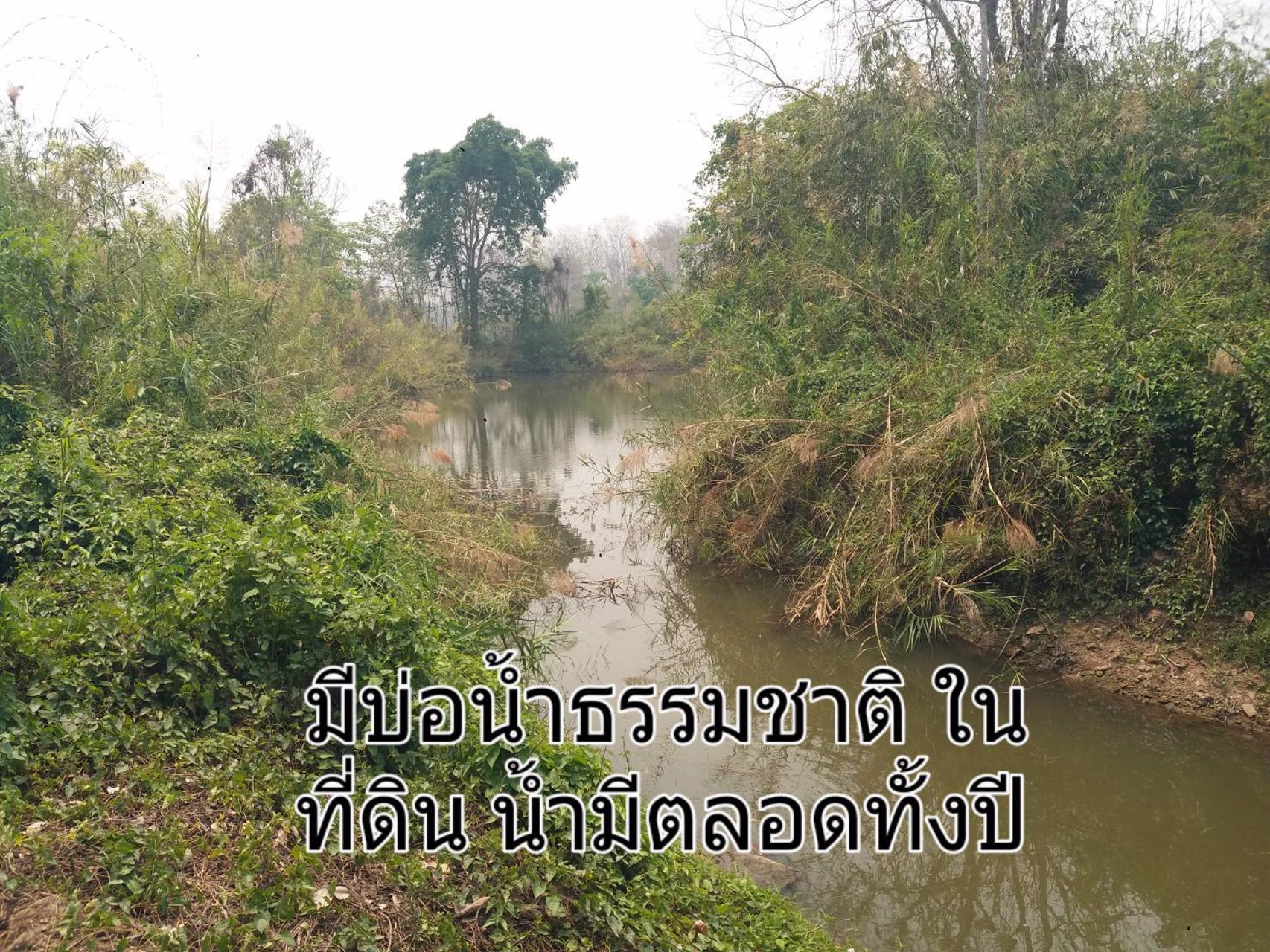 ขายที่ดิน-แปลงใหญ่-151ไร่-ทำเลดี-พื้นที่สวย-วิว-งามๆ-มีแหล่งน้ำธรรมชาติ