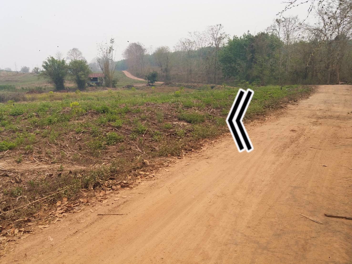 ขายที่ดิน-แปลงใหญ่-151ไร่-ทำเลดี-พื้นที่สวย-วิว-งามๆ-มีแหล่งน้ำธรรมชาติ