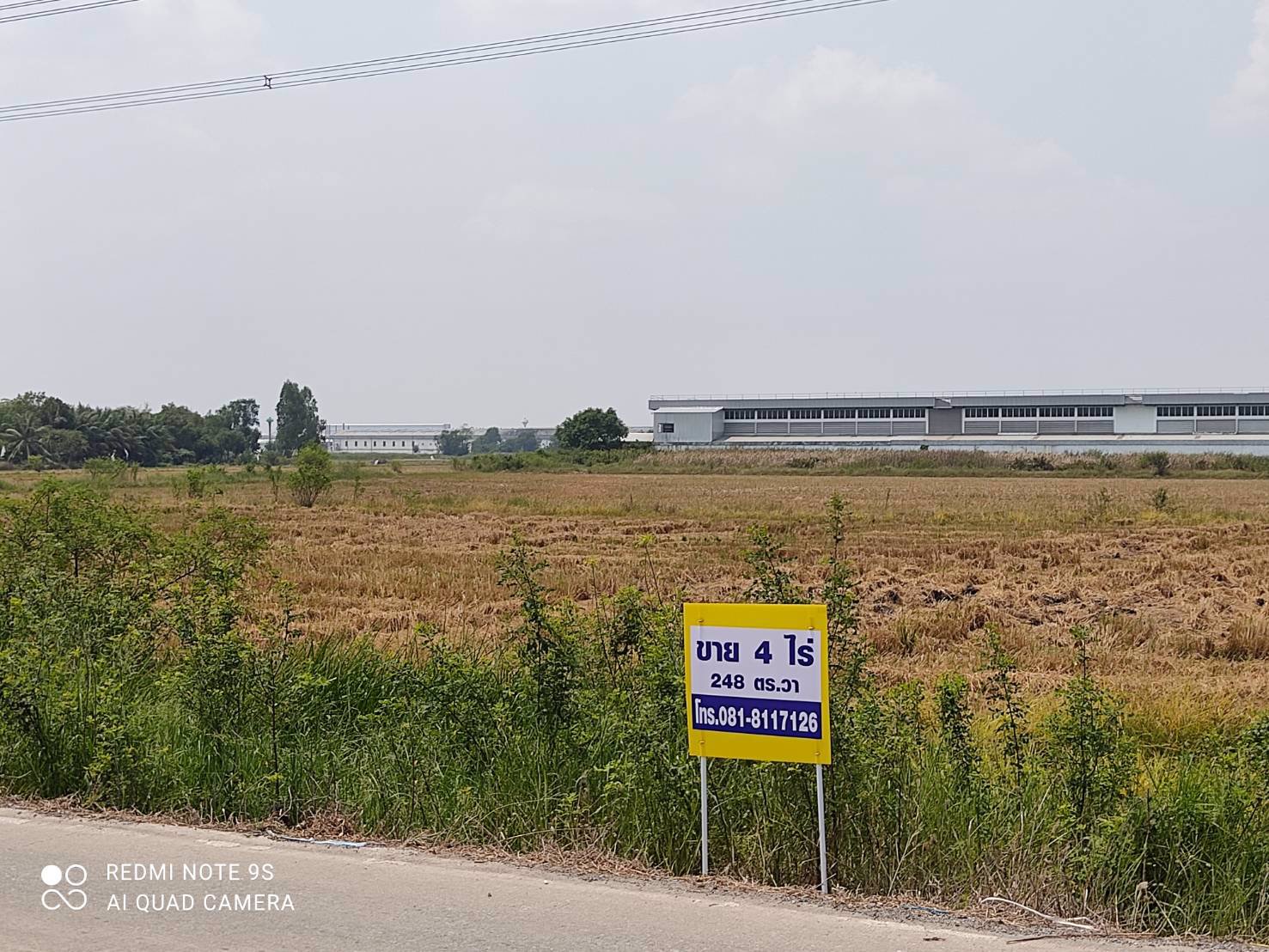 ขายที่ดิน-4-ไร่-248-ตรวา-ติดถนนเทศบาลลำลูกกา-5-ตลอดูแนว-ลำลูกกาคลอง-6-ปทุมธานี-ปัจจุบันเป็นที่นา