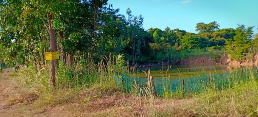 ขายที่ดิน21ไร่-2งาน-97ตรวติดถนน-มีไฟฟ้า-ราคาไร่ละ145000บาท