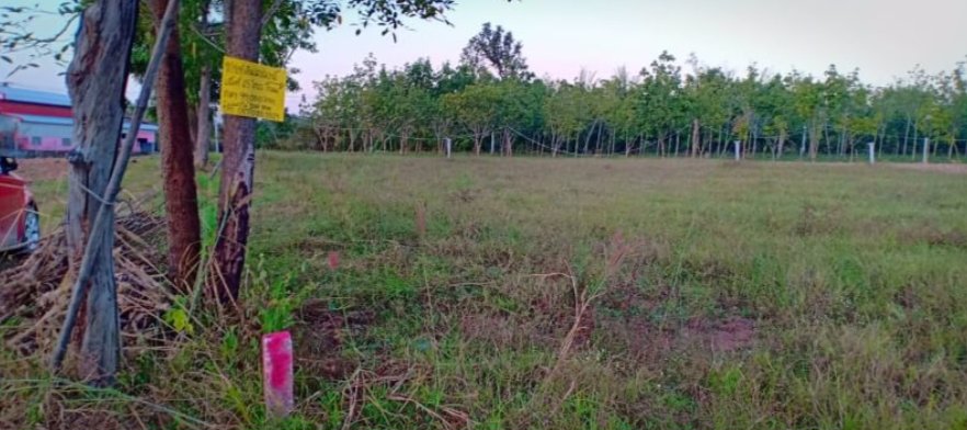 ขายที่ดิน21ไร่-2งาน-97ตรวติดถนน-มีไฟฟ้า-ราคาไร่ละ145000บาท