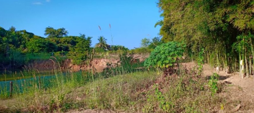 ขายที่ดิน21ไร่-2งาน-97ตรวติดถนน-มีไฟฟ้า-ราคาไร่ละ145000บาท