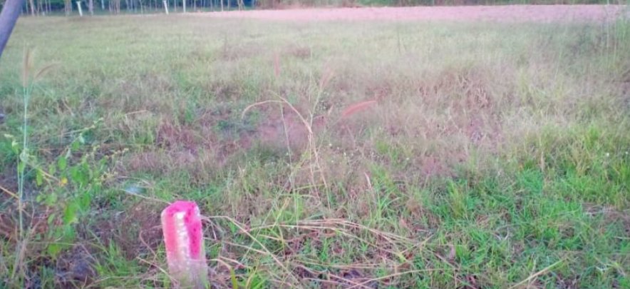 ขายที่ดิน21ไร่-2งาน-97ตรวติดถนน-มีไฟฟ้า-ราคาไร่ละ145000บาท