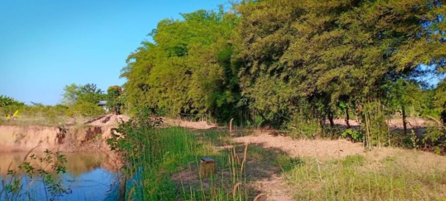 ขายที่ดิน21ไร่-2งาน-97ตรวติดถนน-มีไฟฟ้า-ราคาไร่ละ145000บาท