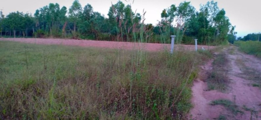 ขายที่ดิน21ไร่-2งาน-97ตรวติดถนน-มีไฟฟ้า-ราคาไร่ละ145000บาท