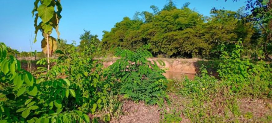 ขายที่ดิน21ไร่-2งาน-97ตรวติดถนน-มีไฟฟ้า-ราคาไร่ละ145000บาท