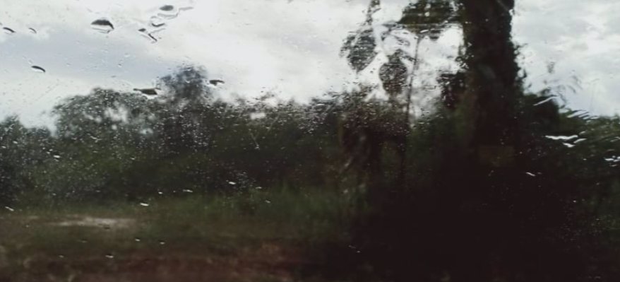 ขายที่ดิน-200-ตรวราคา-250000-บาท-มีน้ำไฟฟ้า-ถมแล้ว