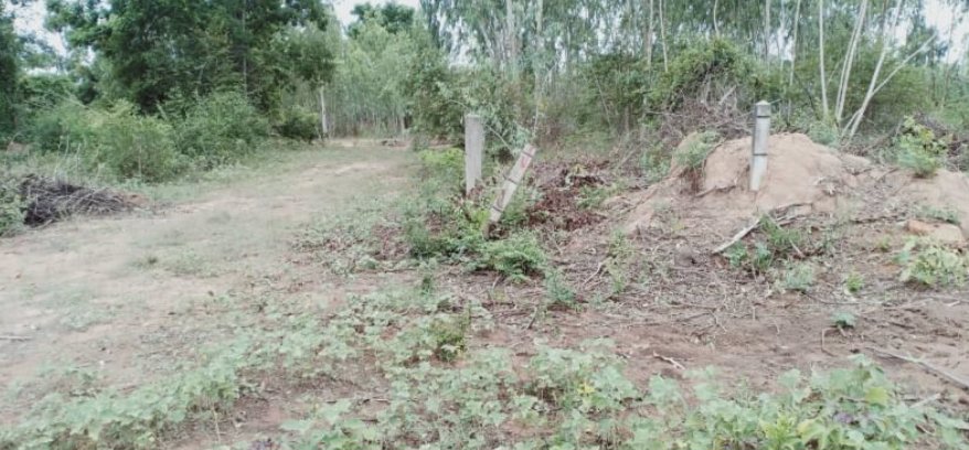 ขายที่ดิน-200-ตรวราคา-250000-บาท-มีน้ำไฟฟ้า-ถมแล้ว