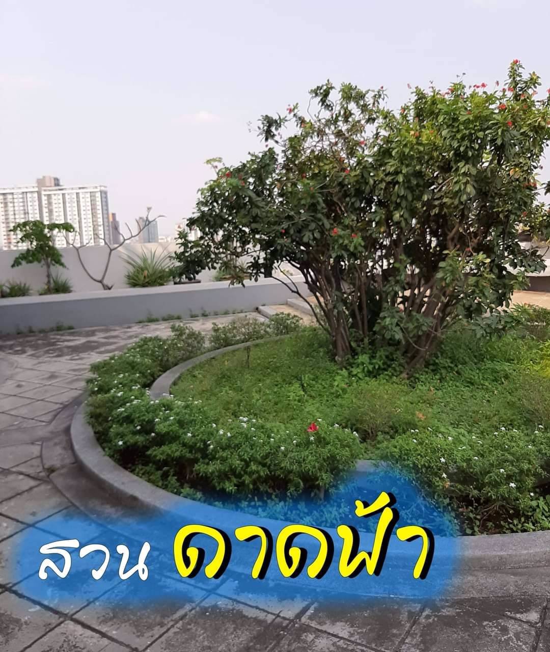 ขายพร้อมผู้เช่า-เก็บค่าเช่าต่อได้เลย-คอนโดติดรถไฟฟ้า-ถูกสุดในโครงการ-เจ้าของขายเอง-