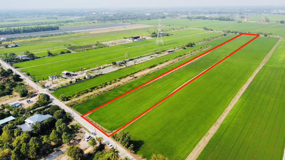 ขายที่ดิน-สามโคก-ปทุมธานี-13-1-69-ตรว