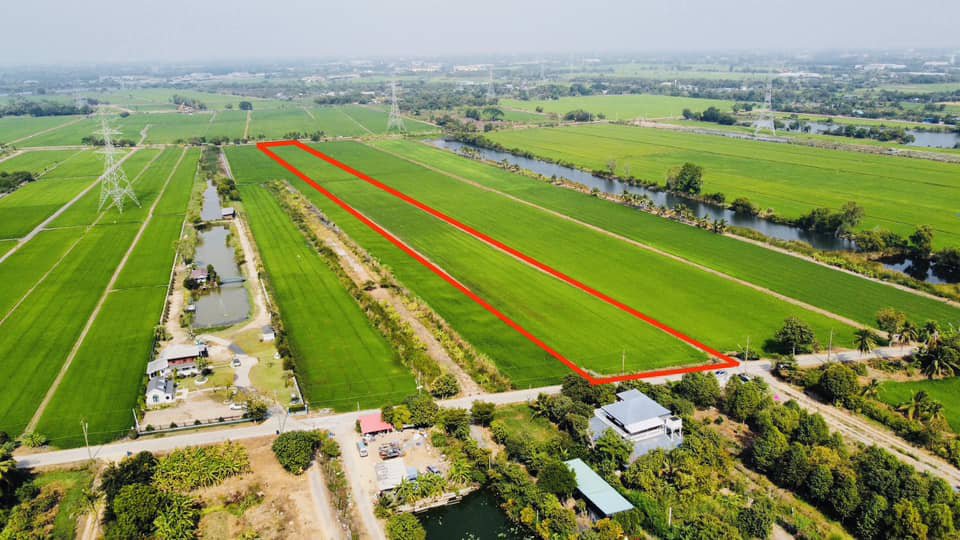 ขายที่ดิน-สามโคก-ปทุมธานี-13-1-69-ตรว