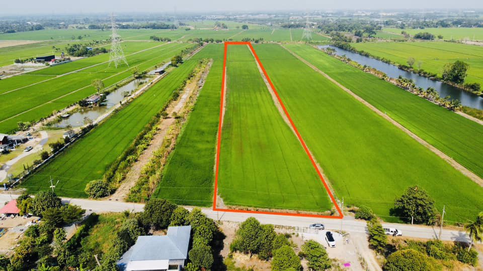 ขายที่ดิน-สามโคก-ปทุมธานี-13-1-69-ตรว