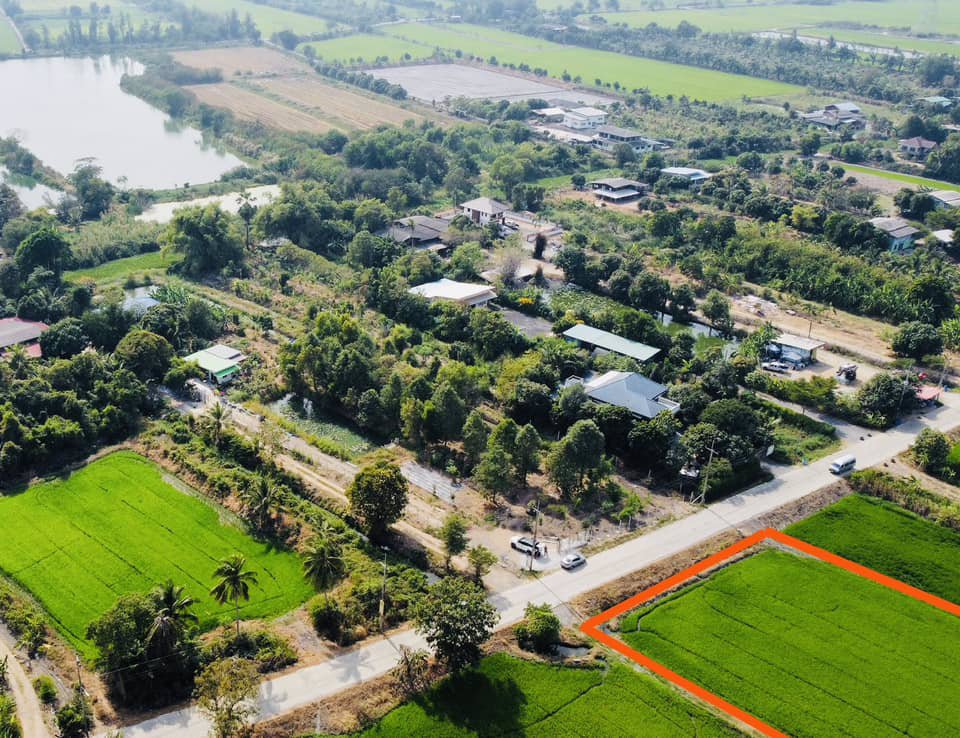 ขายที่ดิน-สามโคก-ปทุมธานี-13-1-69-ตรว