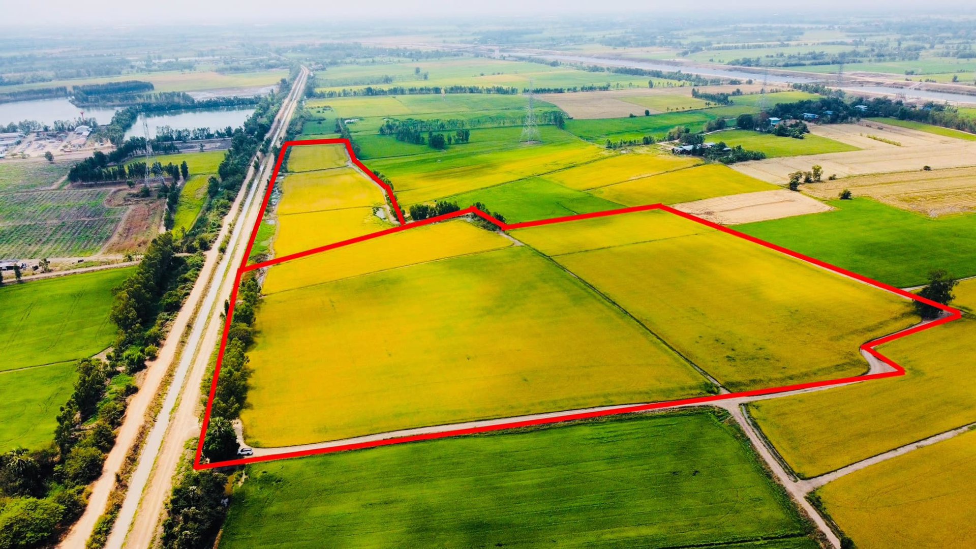 ขายด่วน-ที่ดินบางไทร-ใกล้เจ้าพระยา2-อยุธยา