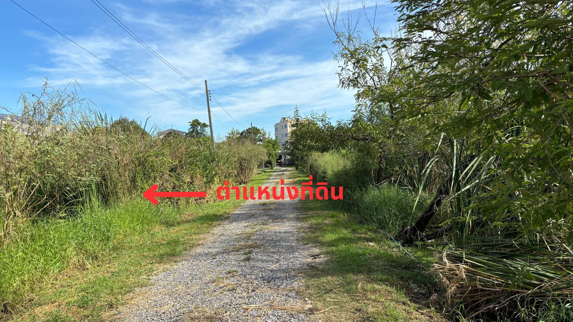 ขายที่ดินเปล่ารูปแปลงสี่เหลี่ยม-255-ตรว-ซอยอ่อนนุช-80-แยก-5