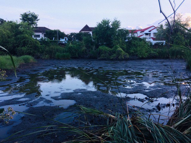 ขายที่ดินเปล่า-เนื้อที่-200-ตรว-ใน-ซศรีด่าน-22-ใกล้-bts-เข้าซอยทะลุ-ถบาง-ตราด-ได้