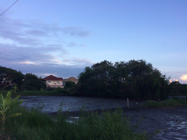 ขายที่ดินเปล่า-เนื้อที่-200-ตรว-ใน-ซศรีด่าน-22-ใกล้-bts-เข้าซอยทะลุ-ถบาง-ตราด-ได้