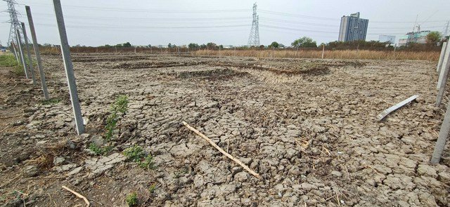 ขายที่ดินเปล่า-เนื้อที่-210-ตรว-ใกล้-ทางด่วน-ใกล้ห้าง-mega-บางนา