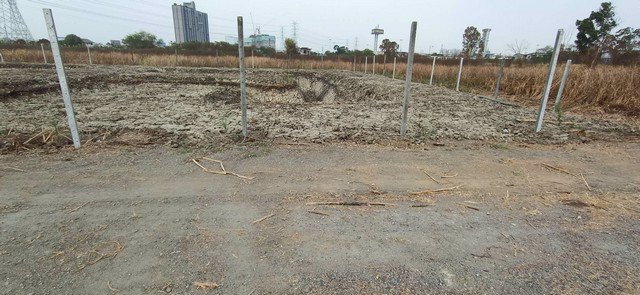 ขายที่ดินเปล่า-เนื้อที่-210-ตรว-ใกล้-ทางด่วน-ใกล้ห้าง-mega-บางนา