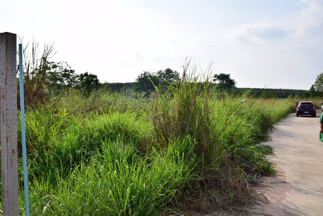 ขายที่ดินเปล่า-เนื้อที่-401-ตรว-แม่น้ำคู้ซอย-5-ติดถนนสาย-3191-ปลวกแดง-ระยอง