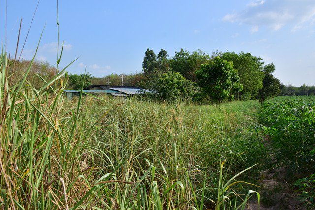 ขายที่ดินเปล่า-เนื้อที่-401-ตรว-แม่น้ำคู้ซอย-5-ติดถนนสาย-3191-ปลวกแดง-ระยอง