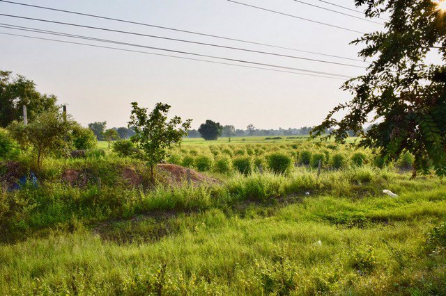 ขายที่ดิน-3-ไร่-ถมแล้ว-ติดถนน-4-เลน-ใกล้-มรามคำแหง-บ้านไผ่-25-กม