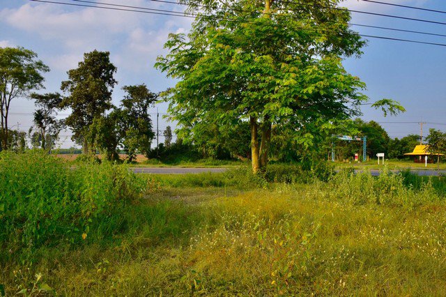 ขายที่ดิน-3-ไร่-ถมแล้ว-ติดถนน-4-เลน-ใกล้-มรามคำแหง-บ้านไผ่-25-กม