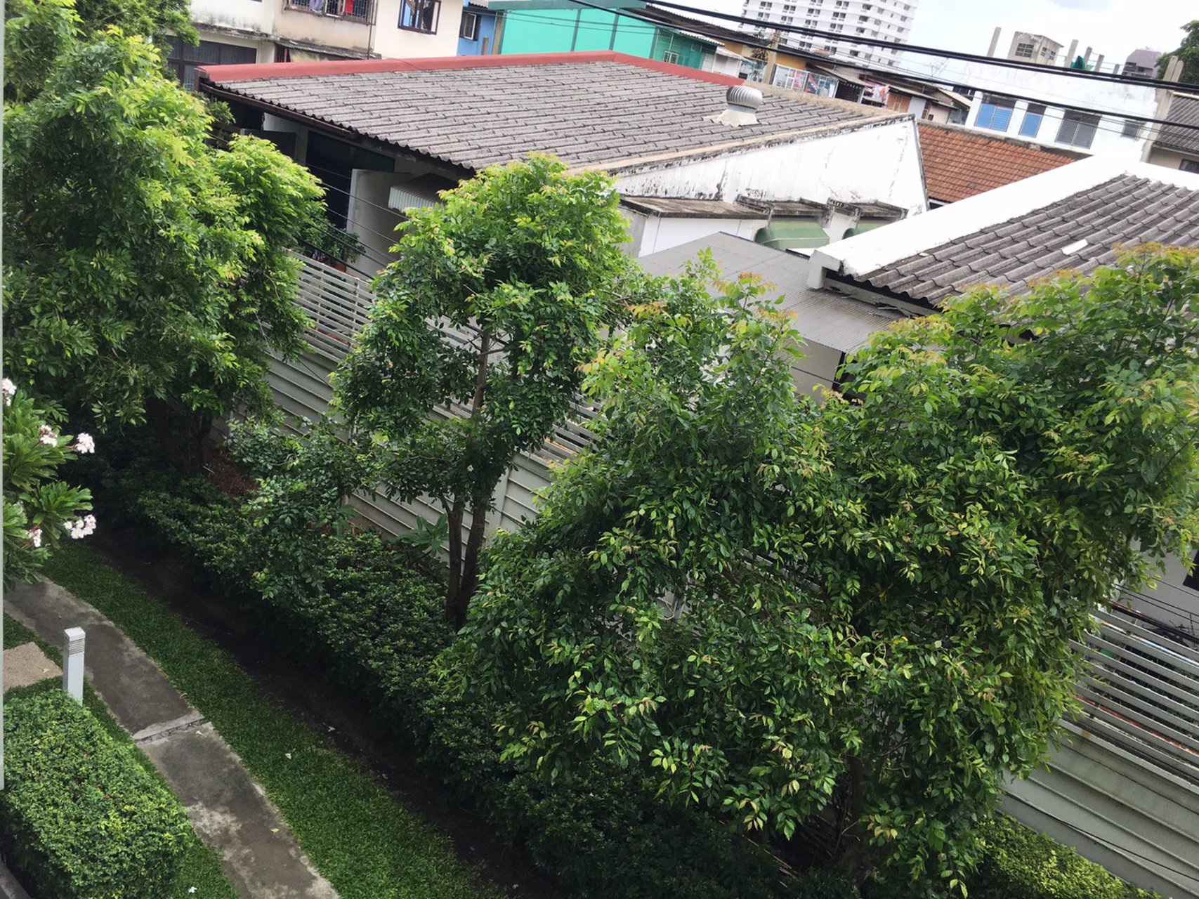 ให้เช่า-a-space-อโศก-รัชดา-ห้องตกแต่งใหม่พร้อมอยู่-เพียง-12000-บาท-เดือน-รวมค่าส่วนกลาง-