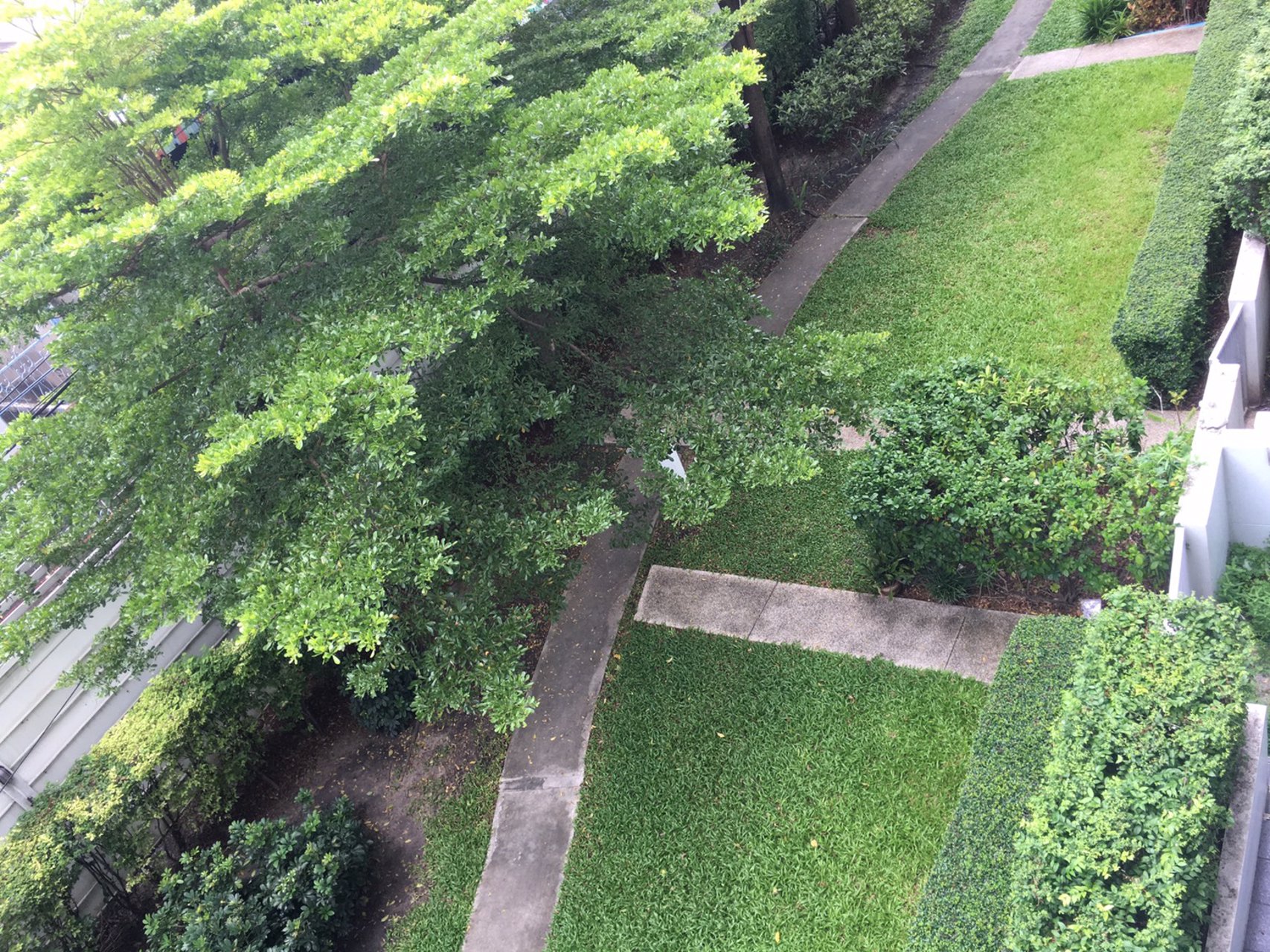 ให้เช่า-a-space-อโศก-รัชดา-ห้องตกแต่งใหม่พร้อมอยู่-เพียง-12000-บาท-เดือน-รวมค่าส่วนกลาง-