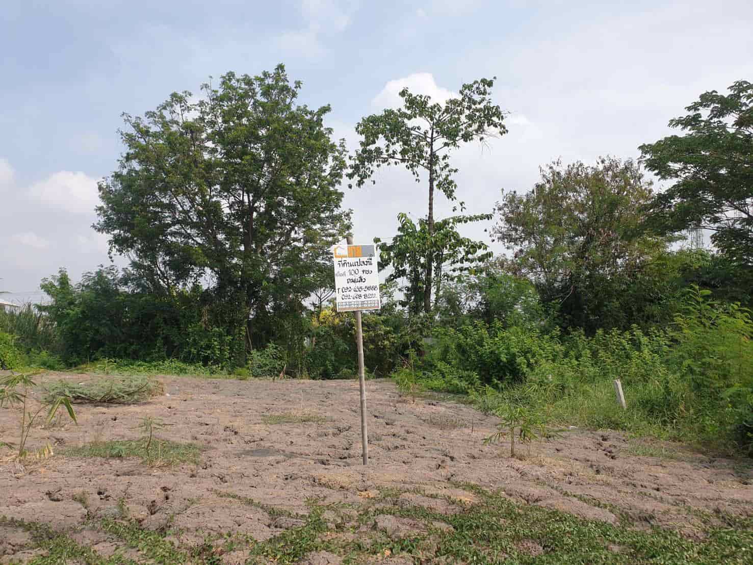 lmpt003-ที่ดินว่างเปล่า-เนื้อที่-0-1-0-ไร่-หรือ-100-ตารางวา-ราคา18-ลบ