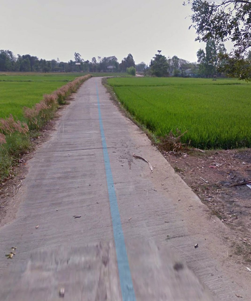 ขายที่ดินเปล่า-จำนวน-14-ไร่-30-ตรว-ตำบลดอนทอง-อำเภอเมือง-จังหวัดพิษณุโลก