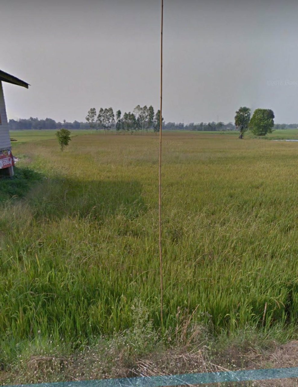 ขายที่ดินเปล่า-จำนวน-14-ไร่-30-ตรว-ตำบลดอนทอง-อำเภอเมือง-จังหวัดพิษณุโลก