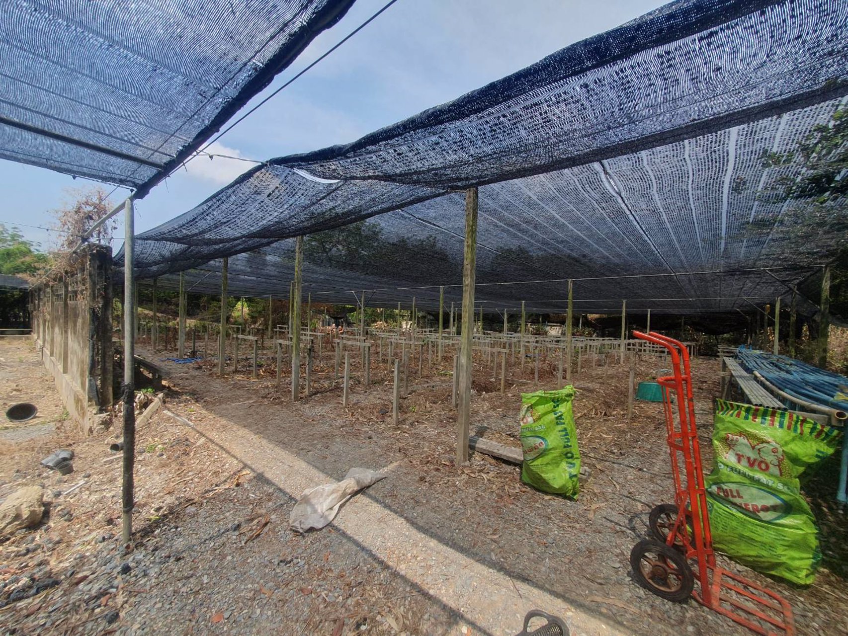 ขายที่ดินพร้อมสิ่งปลูกสร้าง-ผังเมืองสีแดง