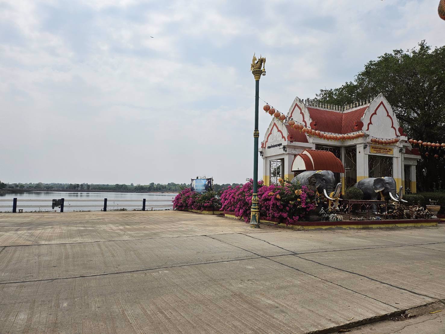 ขายที่ดิน-200-ตารางวา-อยู่หลังสำนักงานเทศบาล-ตำบลคูเมือง-บุรีรัมย์