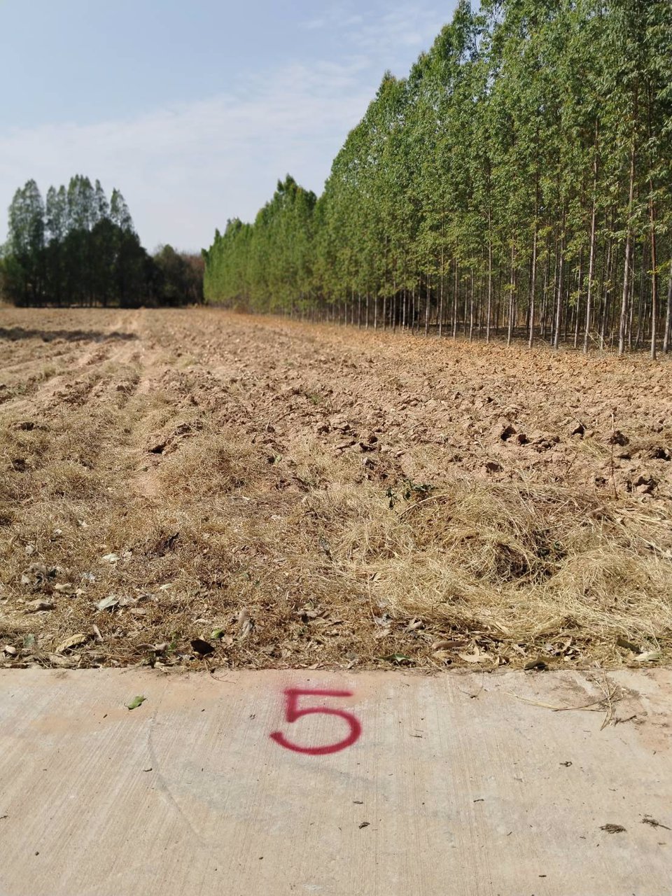 ขายที่ดิน-200-ตารางวา-อยู่หลังสำนักงานเทศบาล-ตำบลคูเมือง-บุรีรัมย์