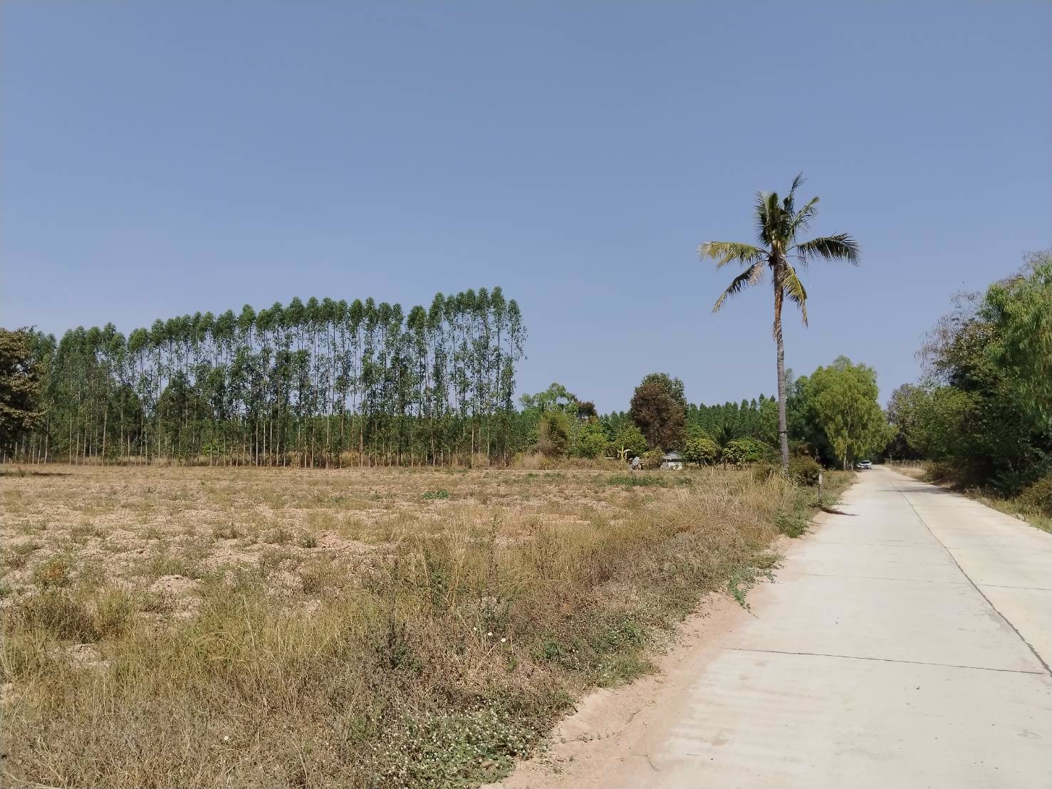 ขายที่ดิน-200-ตารางวา-อยู่หลังสำนักงานเทศบาล-ตำบลคูเมือง-บุรีรัมย์