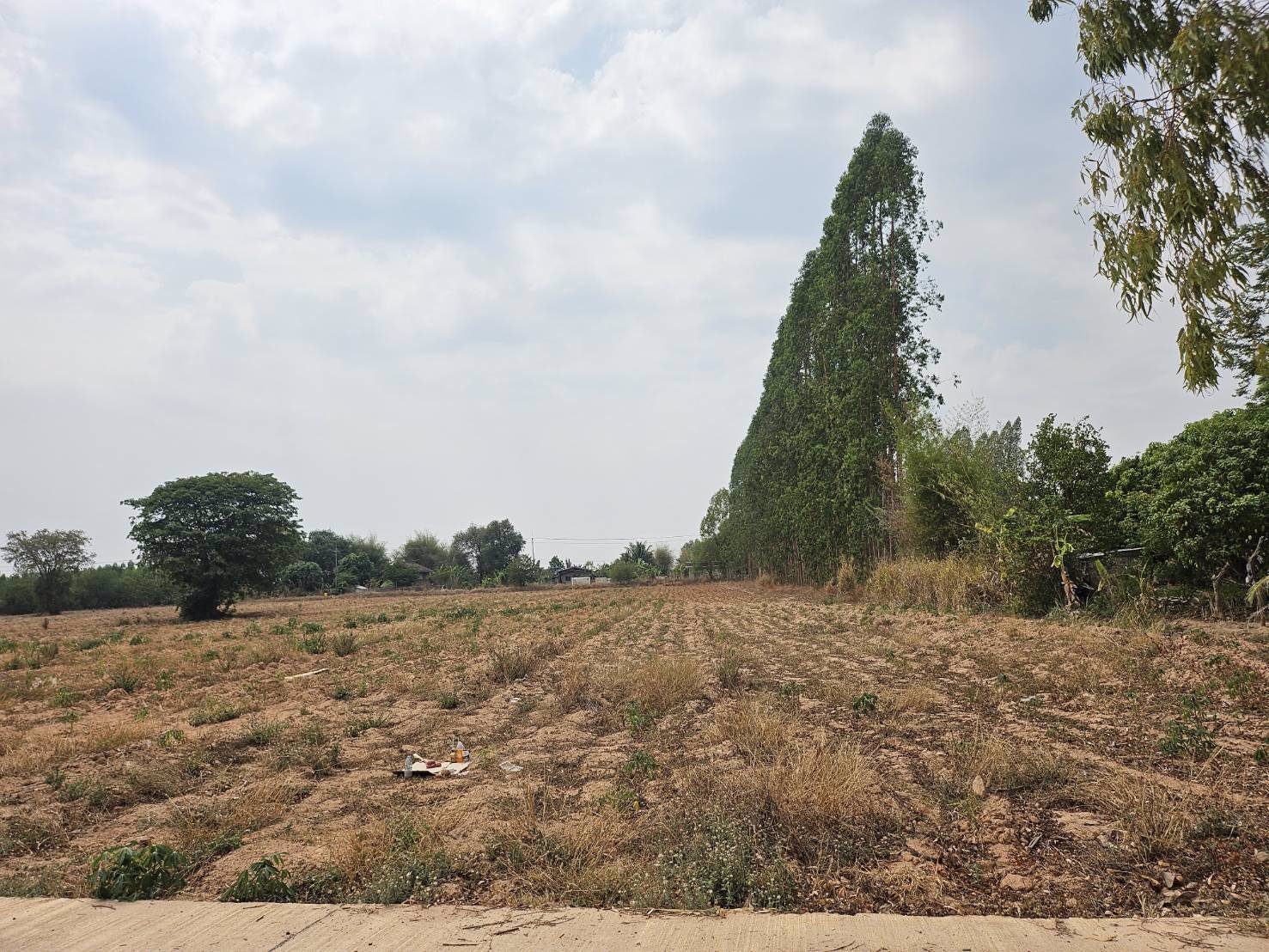 ขายที่ดิน-200-ตารางวา-อยู่หลังสำนักงานเทศบาล-ตำบลคูเมือง-บุรีรัมย์