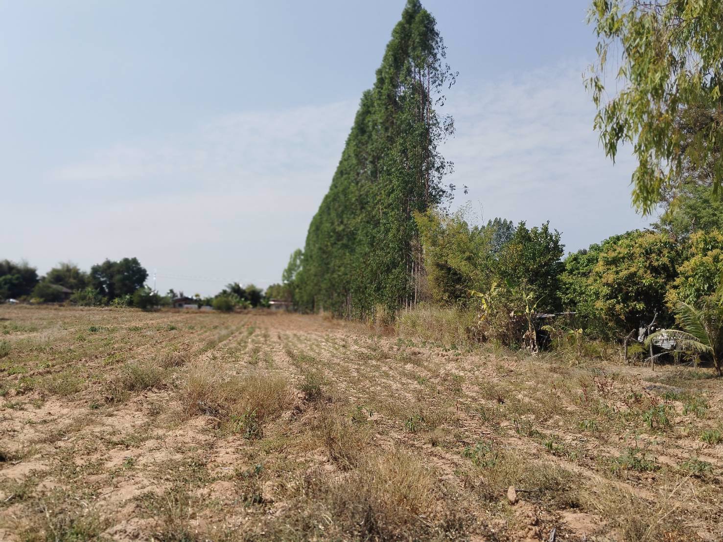 ขายที่ดิน-200-ตารางวา-อยู่หลังสำนักงานเทศบาล-ตำบลคูเมือง-บุรีรัมย์