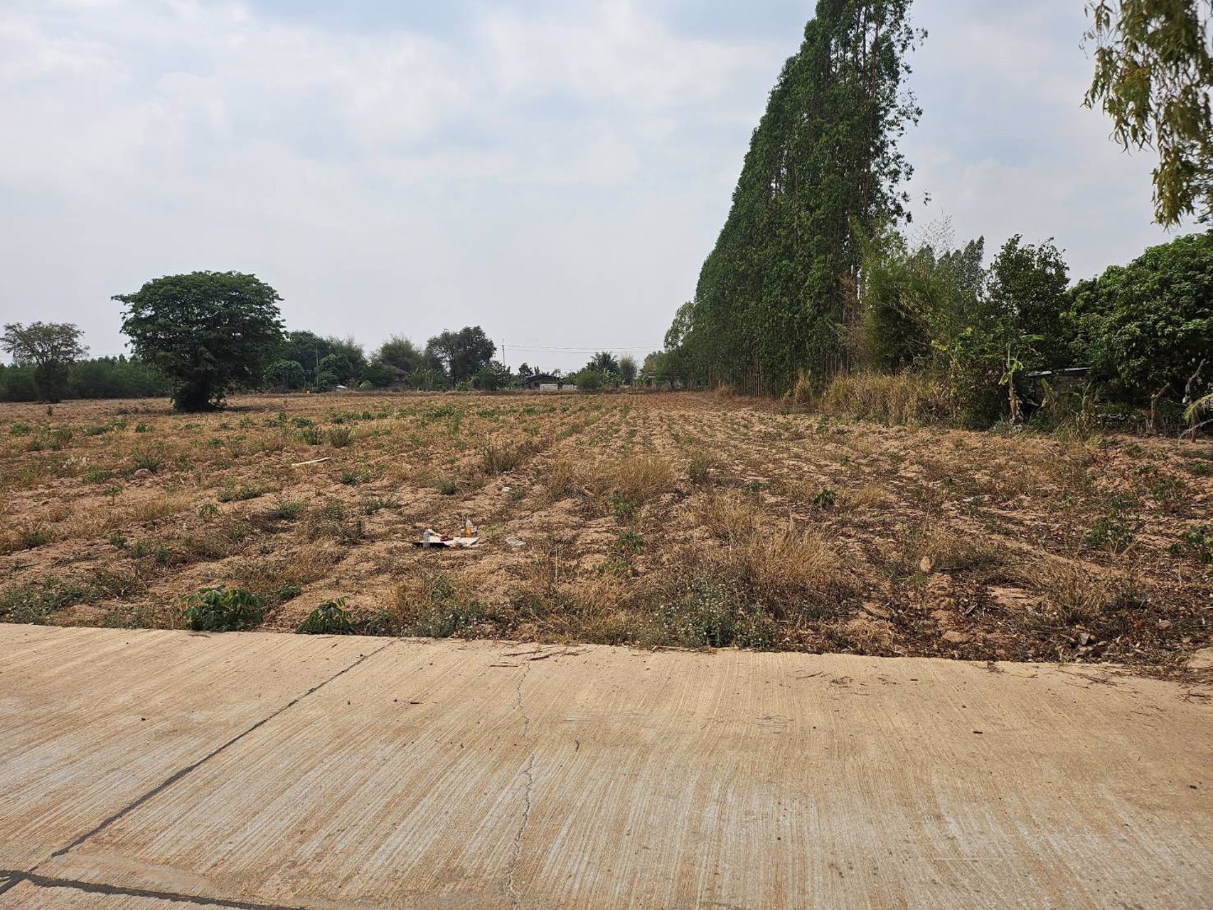 ขายที่ดิน-200-ตารางวา-อยู่หลังสำนักงานเทศบาล-ตำบลคูเมือง-บุรีรัมย์