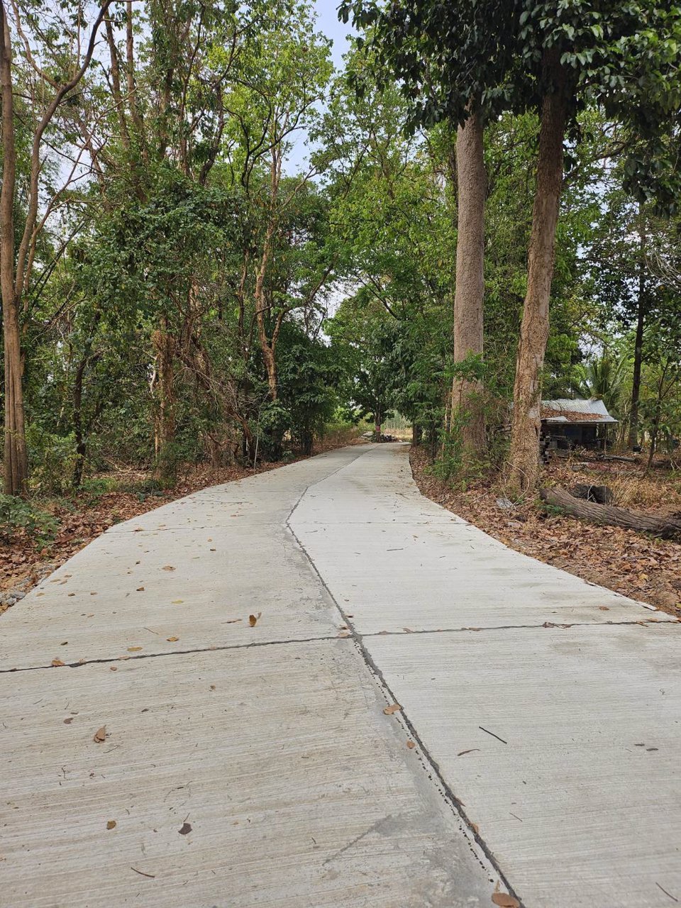 ขายที่ดิน-5-ไร่-อยู่หลังสำนักงานเทศบาล-ตำบลคูเมือง-บุรีรัมย์