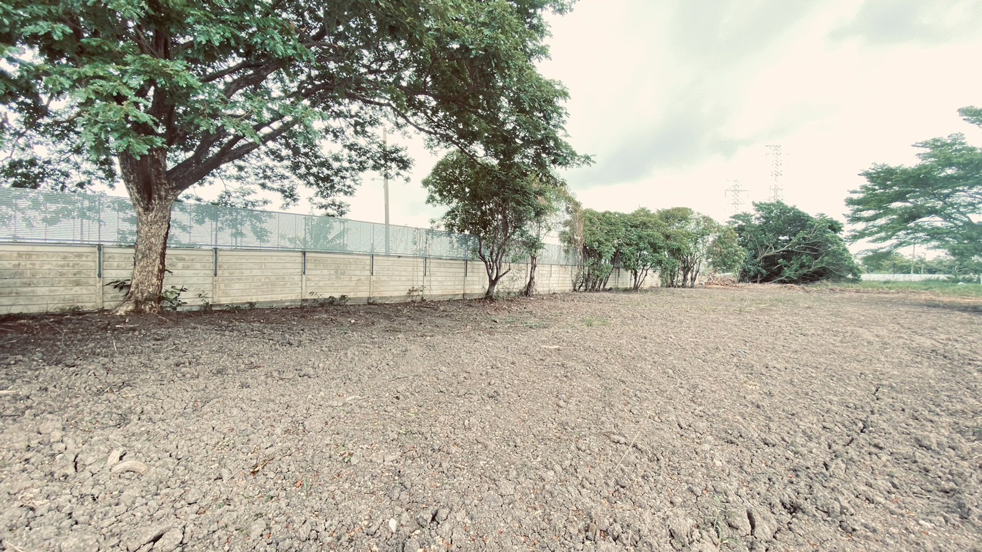 ขายที่ดินเปล่าขนาด-239-ตรว-ต่ำกว่าประเมิน-ในโครงการอารียา-โคโม่-ลาดกระบัง-ใกล้สนามบินสุวรรณภูมิ-และ